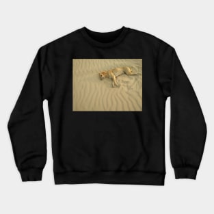 dog on sand Crewneck Sweatshirt